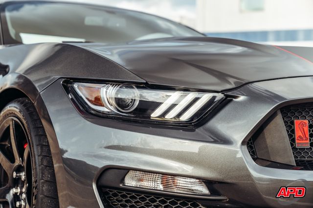2019 Ford Mustang Shelby GT350R 2019 Ford Mustang Shelby GT350R