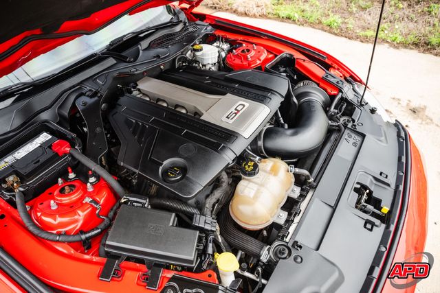 2019 Ford Mustang GT 2019 Ford Mustang GT