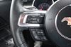 2019 Ford Mustang EcoBoost | Memphis, Tennessee | Memphis Car Smart 2019 Ford Mustang EcoBoost | Memphis, Tennessee | Memphis Car Smart