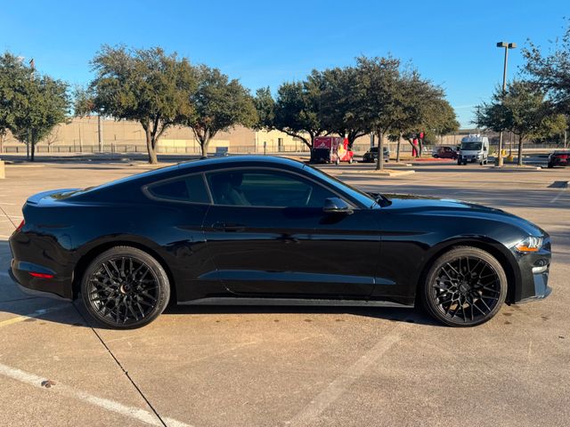 2019 Ford Mustang EcoBoost | Plano, TX | Schneck Motor Company 2019 Ford Mustang EcoBoost | Plano, TX | Schneck Motor Company