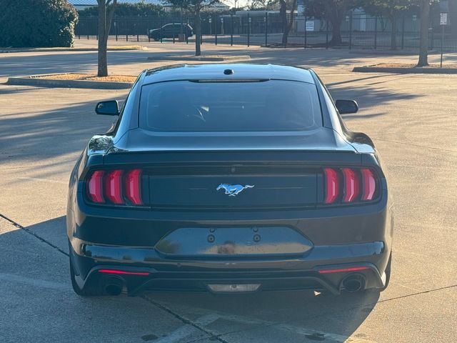 2019 Ford Mustang EcoBoost | Plano, TX | Schneck Motor Company 2019 Ford Mustang EcoBoost | Plano, TX | Schneck Motor Company