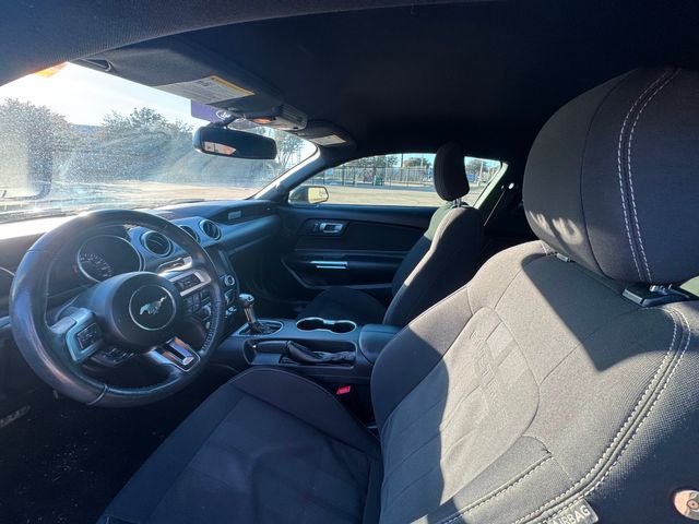 2019 Ford Mustang EcoBoost | Plano, TX | Schneck Motor Company