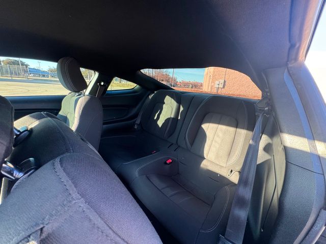 2019 Ford Mustang EcoBoost | Plano, TX | Schneck Motor Company 2019 Ford Mustang EcoBoost | Plano, TX | Schneck Motor Company