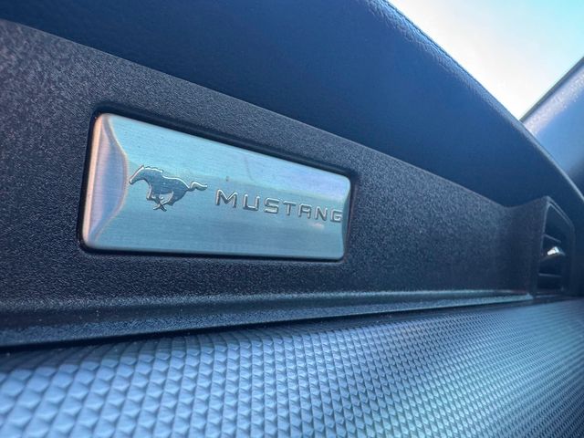 2019 Ford Mustang EcoBoost | Plano, TX | Schneck Motor Company