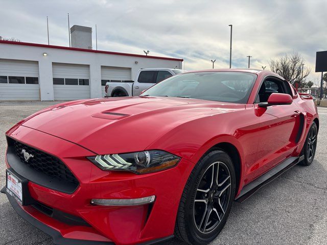 2019 Ford Mustang EcoBoost | San Antonio, TX | Clear Choice Automotive South 2019 Ford Mustang EcoBoost | San Antonio, TX | Clear Choice Automotive South
