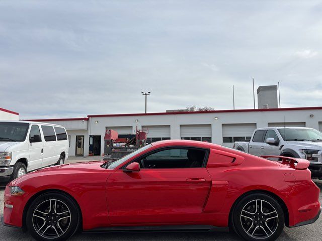 2019 Ford Mustang EcoBoost | San Antonio, TX | Clear Choice Automotive South 2019 Ford Mustang EcoBoost | San Antonio, TX | Clear Choice Automotive South