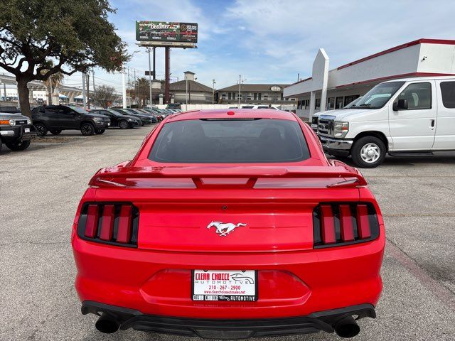 2019 Ford Mustang EcoBoost | San Antonio, TX | Clear Choice Automotive South 2019 Ford Mustang EcoBoost | San Antonio, TX | Clear Choice Automotive South