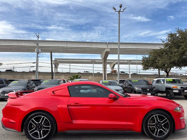 2019 Ford Mustang EcoBoost | San Antonio, TX | Clear Choice Automotive South