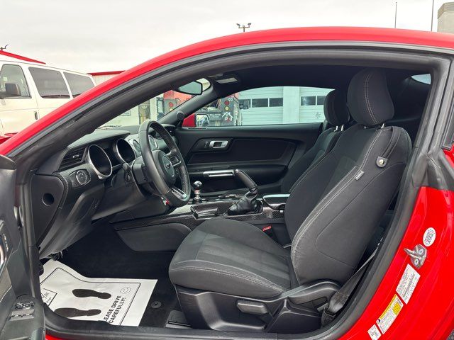 2019 Ford Mustang EcoBoost | San Antonio, TX | Clear Choice Automotive South 2019 Ford Mustang EcoBoost | San Antonio, TX | Clear Choice Automotive South