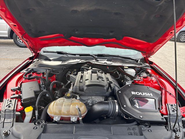 2019 Ford Mustang EcoBoost | San Antonio, TX | Clear Choice Automotive South 2019 Ford Mustang EcoBoost | San Antonio, TX | Clear Choice Automotive South