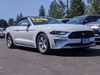 2019 Ford Mustang ECOBOOST CONVERTIBLE | Spokane, WA | Max AutoSports of Spokane