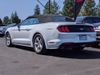 2019 Ford Mustang ECOBOOST CONVERTIBLE | Spokane, WA | Max AutoSports of Spokane 2019 Ford Mustang ECOBOOST CONVERTIBLE | Spokane, WA | Max AutoSports of Spokane