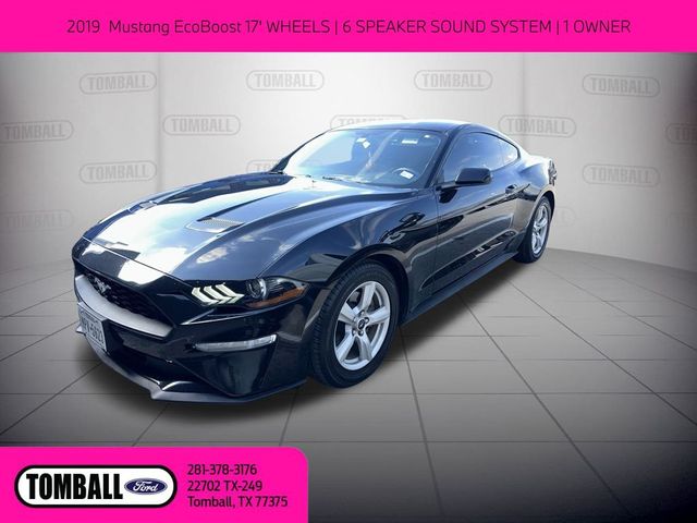 2019 Ford Mustang EcoBoost | Tomball, TX | Ask Jorge Lopez