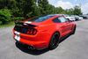 2019 Ford Mustang Shelby GT350 | Unadilla, GA | Brannen Motor Company 2019 Ford Mustang Shelby GT350 | Unadilla, GA | Brannen Motor Company