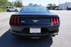 2019 Ford Mustang EcoBoost | Unadilla, GA | Brannen Motor Company 2019 Ford Mustang EcoBoost | Unadilla, GA | Brannen Motor Company