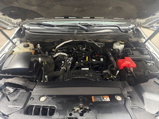 2019 Ford Ranger XLT | Houston, TX | Texas Star Motors