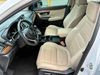 2019 Honda CR-V EX-L | Hendersonville, Tennessee | ToddsCarTeam.com 2019 Honda CR-V EX-L | Hendersonville, Tennessee | ToddsCarTeam.com