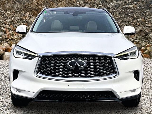 2019 INFINITI QX50 Luxe