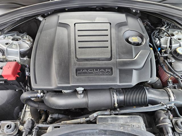 2019 Jaguar F-PACE 25t Prestige | Brownsville TX | English Motors 2019 Jaguar F-PACE 25t Prestige | Brownsville TX | English Motors