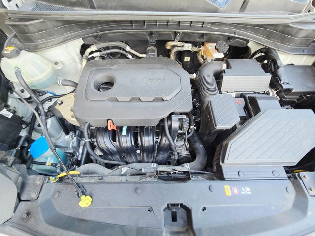 2019 Kia Sportage LX | Ellisville, MO | AutoPort 2019 Kia Sportage LX | Ellisville, MO | AutoPort