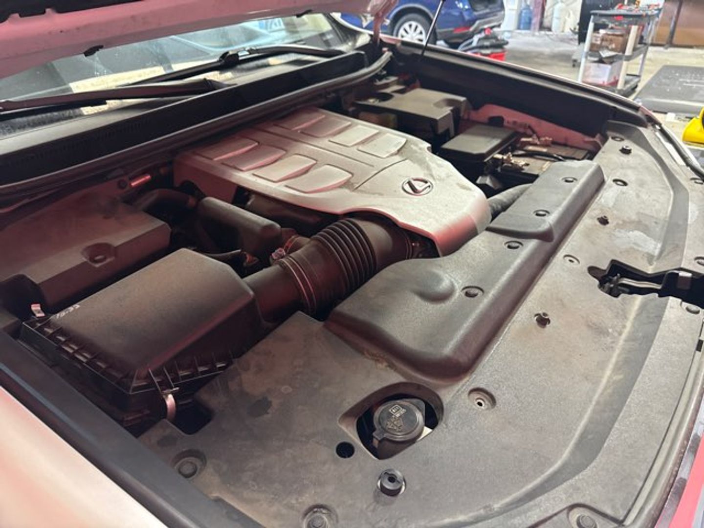 2019 Lexus GX 460 Base [077] Starfire Pearl at Mossy Motors