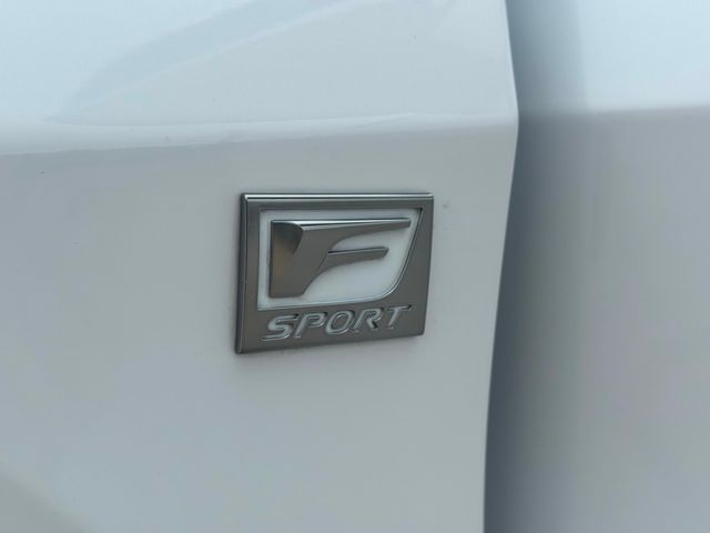 2019 Lexus RX 450h F SPORT | Plano, TX | Schneck Motor Company
