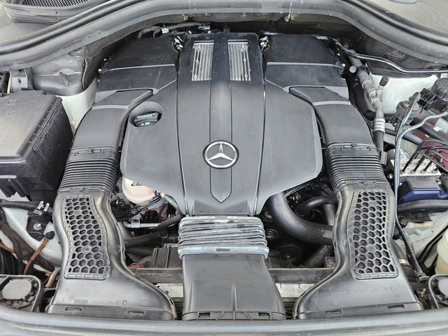 2019 Mercedes-Benz GLS 450 | Brownsville TX | English Motors