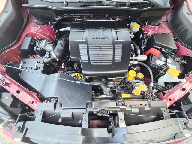 2019 Subaru Forester Limited | Ellisville, MO | AutoPort 2019 Subaru Forester Limited | Ellisville, MO | AutoPort