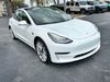 2019 Tesla Model 3 TESLA MODEL 3 CARFAX CERT CLEAN SERVICED | Plant City Florida | Bayshore Automotive 