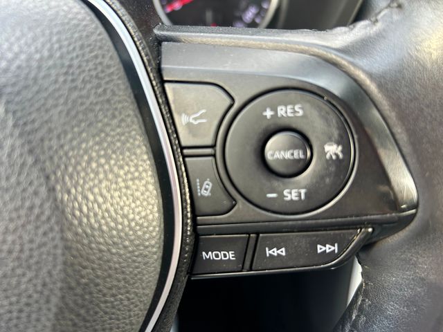 2019 Toyota RAV4 XLE Premium | New Brunswick, New Jersey | Brilliant Auto Sales