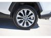 2019 Toyota RAV4 Limited | Tomball, TX | Ask Jorge Lopez
