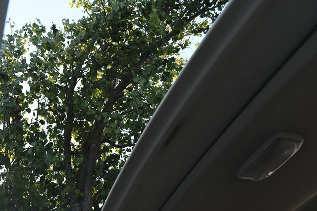 2019 Toyota Tundra 1794 Edition Western Grade Pkg JBL Sunroof Leather