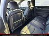 2020 Cadillac XT5 Premium Luxury | Sacramento, CA | Lions Auto Sales 