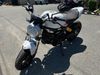 2020 Ducati Monster 797 Plus | Hayes, VA | Gemini Auto 2020 Ducati Monster 797 Plus | Hayes, VA | Gemini Auto