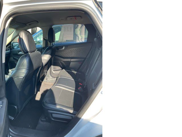 2020 Ford Escape SEL - John Gibson Auto Sales Hot Springs 2020 Ford Escape SEL - John Gibson Auto Sales Hot Springs