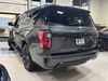2020 Ford Expedition MAX Limited | Worth, IL | Titan Auto Sales