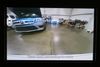 2020 Ford F-150 4x4 Limited | Mooresville, NC | The Group NC