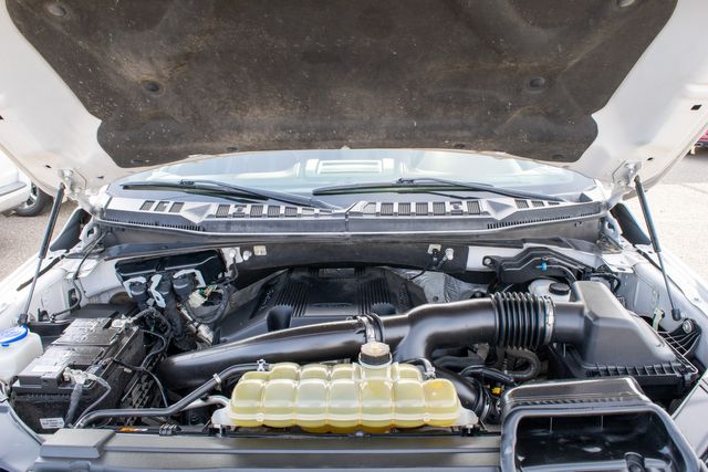 2020 Ford F-150 Platinum | Great Falls, Montana | Bleskin Motor Company 