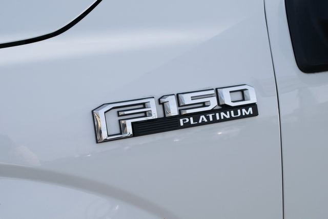 2020 Ford F-150 Platinum | Great Falls, Montana | Bleskin Motor Company 