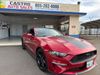 2020 Ford Mustang EcoBoost | Arroyo Grande, CA | Castro Auto Sales 2020 Ford Mustang EcoBoost | Arroyo Grande, CA | Castro Auto Sales