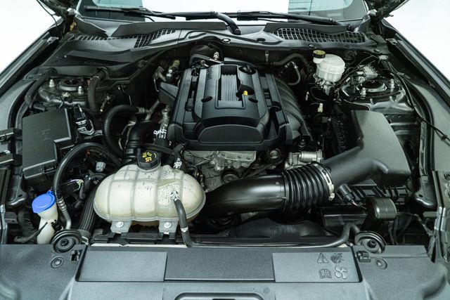 2020 Ford Mustang EcoBoost Premium | Carrollton, TX | Texas Hot Rides