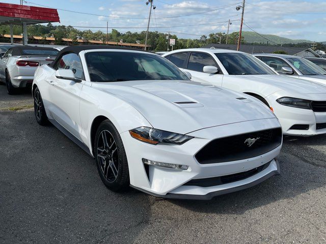 2020 Ford Mustang - John Gibson Auto Sales Hot Springs 2020 Ford Mustang - John Gibson Auto Sales Hot Springs