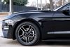 2020 Ford Mustang EcoBoost * 1-OWNER * | Plano, Texas | Lone Star Cars, Inc 2020 Ford Mustang EcoBoost * 1-OWNER * | Plano, Texas | Lone Star Cars, Inc