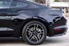 2020 Ford Mustang EcoBoost * 1-OWNER * | Plano, Texas | Lone Star Cars, Inc 2020 Ford Mustang EcoBoost * 1-OWNER * | Plano, Texas | Lone Star Cars, Inc