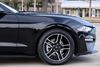 2020 Ford Mustang EcoBoost * 1-OWNER * Keyless * BU CAM * Sat Radio | Plano, Texas | Lone Star Cars, Inc 2020 Ford Mustang EcoBoost * 1-OWNER * Keyless * BU CAM * Sat Radio | Plano, Texas | Lone Star Cars, Inc