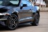 2020 Ford Mustang EcoBoost * 1-OWNER * | Plano, Texas | Lone Star Cars, Inc 2020 Ford Mustang EcoBoost * 1-OWNER * | Plano, Texas | Lone Star Cars, Inc