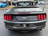 2020 Ford Mustang MUSTANG CONVERTIBLE PREMIUM ECOBOOST | Plant City Florida | Bayshore Automotive 2020 Ford Mustang MUSTANG CONVERTIBLE PREMIUM ECOBOOST | Plant City Florida | Bayshore Automotive
