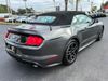 2020 Ford Mustang MUSTANG CONVERTIBLE PREMIUM ECOBOOST | Plant City Florida | Bayshore Automotive 2020 Ford Mustang MUSTANG CONVERTIBLE PREMIUM ECOBOOST | Plant City Florida | Bayshore Automotive