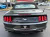 2020 Ford Mustang MUSTANG CONVERTIBLE PREMIUM ECOBOOST | Plant City Florida | Bayshore Automotive 2020 Ford Mustang MUSTANG CONVERTIBLE PREMIUM ECOBOOST | Plant City Florida | Bayshore Automotive