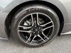 2020 Ford Mustang MUSTANG CONVERTIBLE PREMIUM ECOBOOST | Plant City Florida | Bayshore Automotive 2020 Ford Mustang MUSTANG CONVERTIBLE PREMIUM ECOBOOST | Plant City Florida | Bayshore Automotive